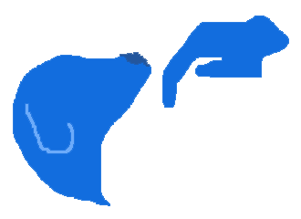 Sairauskohtauksista huomauttavat koirat